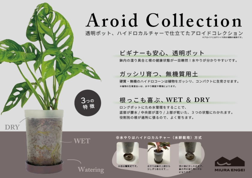 販促物一覧 | 商品紹介 | 三浦園芸